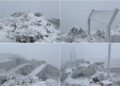 強烈冷氣團持續發威　玉山、合歡山、嘉明湖下雪　各地明顯低溫