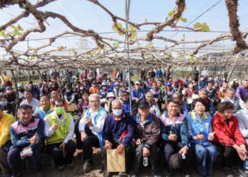 中區農改場推廣葡萄優化氰滿素催芽技術 　葡萄生產沒煩惱
