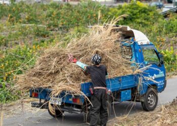 迎接客家掃墓　中市客家庄啟動公墓除草清運