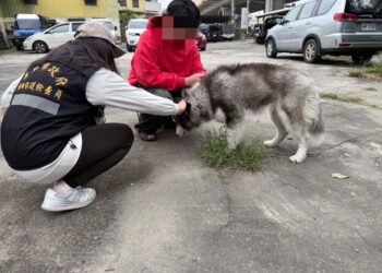 東勢某工廠傳虐犬棄養　中市動保處將嚴懲重罰