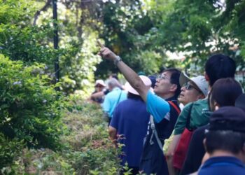 中市南門社區打造秘密後花園　推廣在地文化共榮