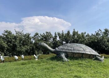 野餐趣、生態遊 中市大安龜殼生態公園野餐日11/3登場