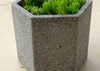 雞蛋殼變身環保花盆　中市環保局邀長者DIY實踐資源循環