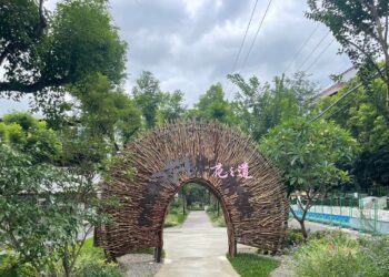 打造幸福宜居的花園城市　中市大里長榮園道「花之道」綻放浪漫自然花境