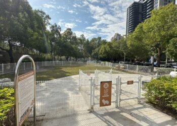 中市文心森林公園優化工程完成　寵物專區全新升級