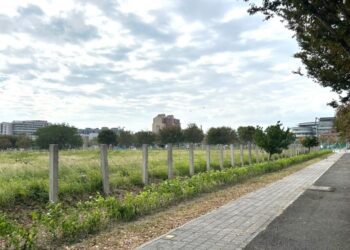 持續推動低碳永續目標　水湳經貿園區退縮帶綠美化