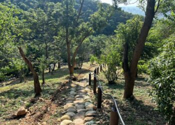 大甲鐵砧山桂花泉登山步道新玩法　體驗手作步道之美