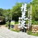 甲鐵砧山春日限定! 桂花泉登山步道花開迎客