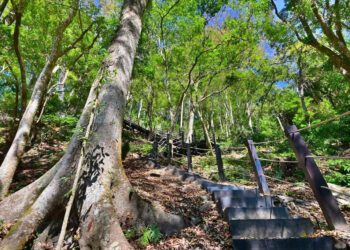 串聯生態與文化! 雪山坑環線步道工程開工