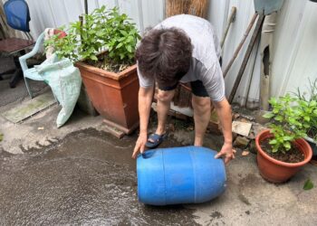 中市府籲雨後黃金48小時清理積水容器　防止病媒蚊孳生