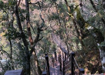 探索原民文化之美！　台中環山獵人步道帶你走訪泰雅古徑