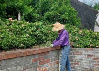 助壯世代重返職場　中市府提供最高1萬8千元獎勵金