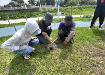 中央公園志工專業全面升級　中市建設局攜手科博館推展環境教育