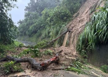 凱米颱風警報解除　 盧市長指示市府相關局處全力加速恢復市容