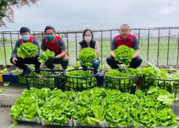 台中龍井區清潔隊愛心農場　提供新鮮蔬菜回饋社區長輩