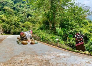 中市府推出步道分級　打造優質登山健行環境