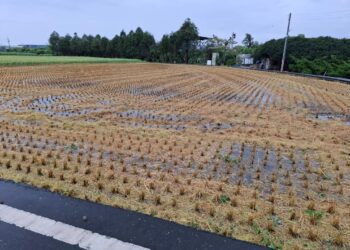 中市持續推廣稻草剪段翻耕　補助申請截至12/10