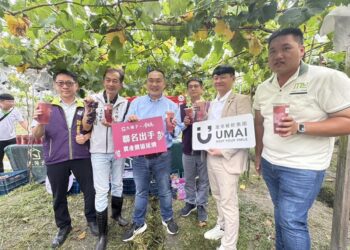 影音/知名企業攜手相挺大村巨峰 產地與餐桌共創新局