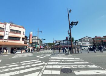 國人放鬆身心靈出國自駕旅遊 別忘了要攜帶國際駕照