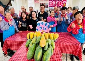 從產地到餐桌 喜樂推動食農教育 青年採收木瓜樂開懷