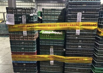 強化源頭把關 彰化啟動蛋雞場「芬普尼全面採樣監測」