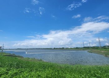 連續低壓帶恐陸續成颱 四河分署持續整備因應防範