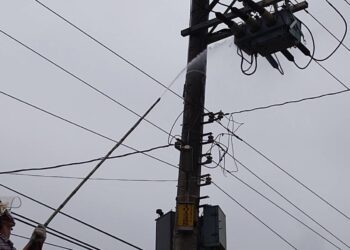 慎防山陀兒強風致鹽塵害 台電彰化區處加強防災作業