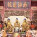 影音/開春來清水岩寺點燈安太歲 欣賞百年茶花盛開之美