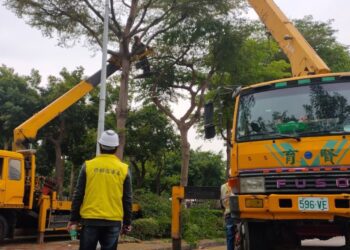 強化樹木健康管理! 中市導入智慧監測守護市民安全