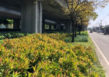 台中74線橋下變綠廊 公私協力打造城市綠指環