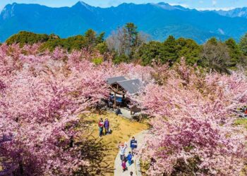 接軌國際生態保育 台中加入「自然城市平台」