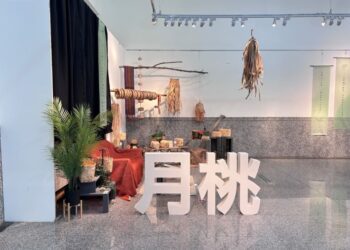 中市原文館推出原民植物田野成果展 認識原住民族自然觀與生活美學
