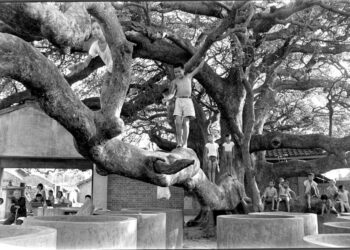 尋找回憶的光影　中市圖徵集西區老照片