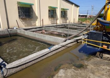 雨污分流助攻　台中畜牧場全面減輕廢水處理負荷
