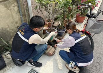 梅雨季防登革熱 中市環保局籲落實「巡倒清刷」防堵登革熱