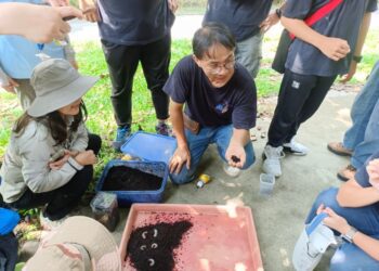 台中大坑推動生物多樣性計畫　獨角仙與蝴蝶同步復育