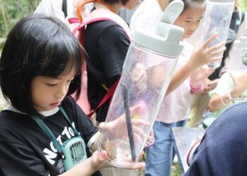 台中夏季生態探索趣 大坑賞蝶活動5/12開放報名