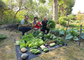 大肚清潔隊閒置空地變菜園　農作豐收助弱勢家庭