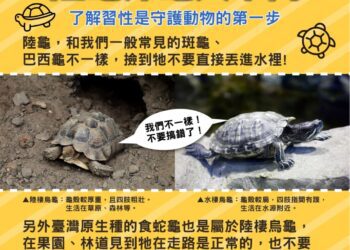 正確守護野生動物 農業局提醒三不原則