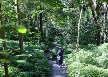 中市雪山坑登山步道完工　打造原民文化與生態深度體驗